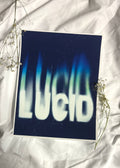 “Lucid” print